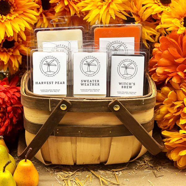 Fall & Christmas Large Wax Melts - Coconut Candle Company