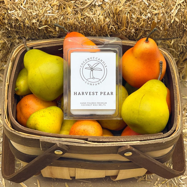 Fall & Christmas Large Wax Melts - Coconut Candle Company