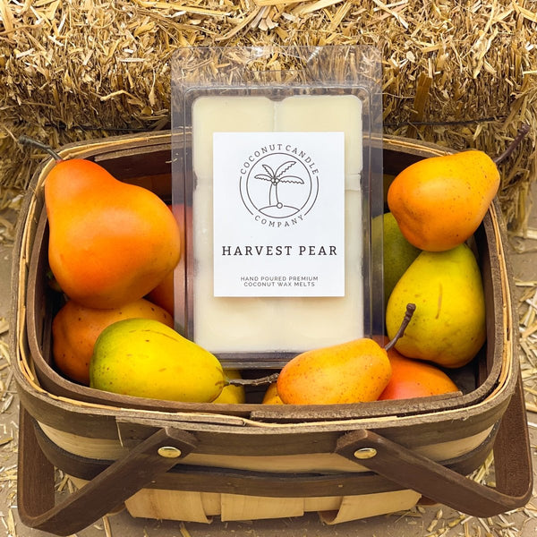 Fall & Christmas Large Wax Melts - Coconut Candle Company