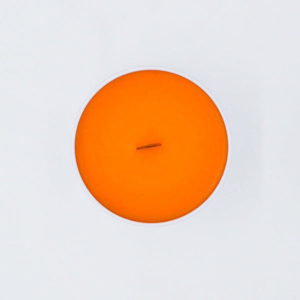 Pumpkin Pie - Coconut Candle Company
